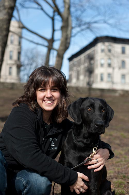 dog, labrador, training, puppy, puppies, dogs, obedience, agility, brooklyn, park slope